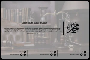 استئناف حكم نفقة صغير